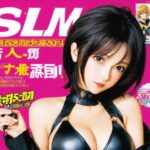 우머나이저 관련 이미지